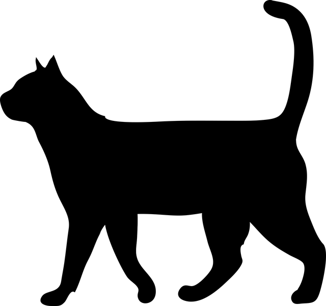 productos_felinos