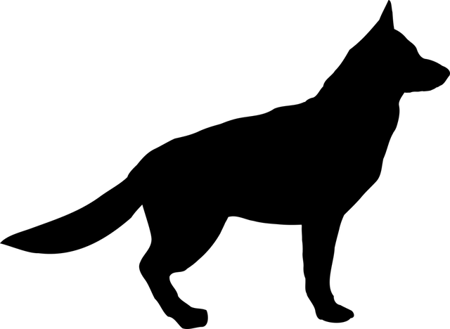 productos_caninos